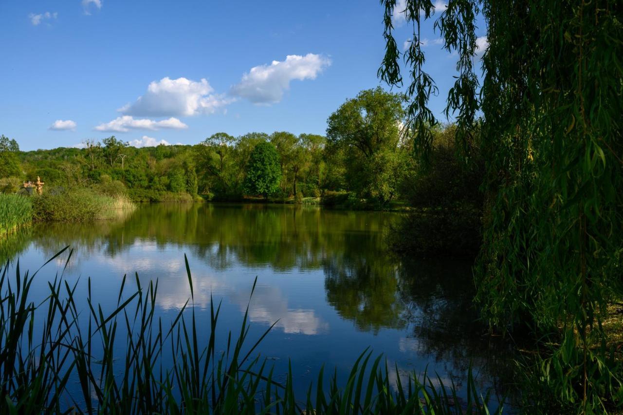 Hotel Domaine de Lardoisière Château-Salins Esterno foto